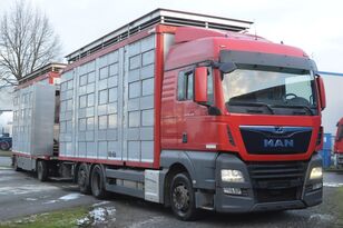 MAN TGX 26.420 Euro 6/ AT 18/73 eläinkuljetusauto + eläinkuljetusperävaunu